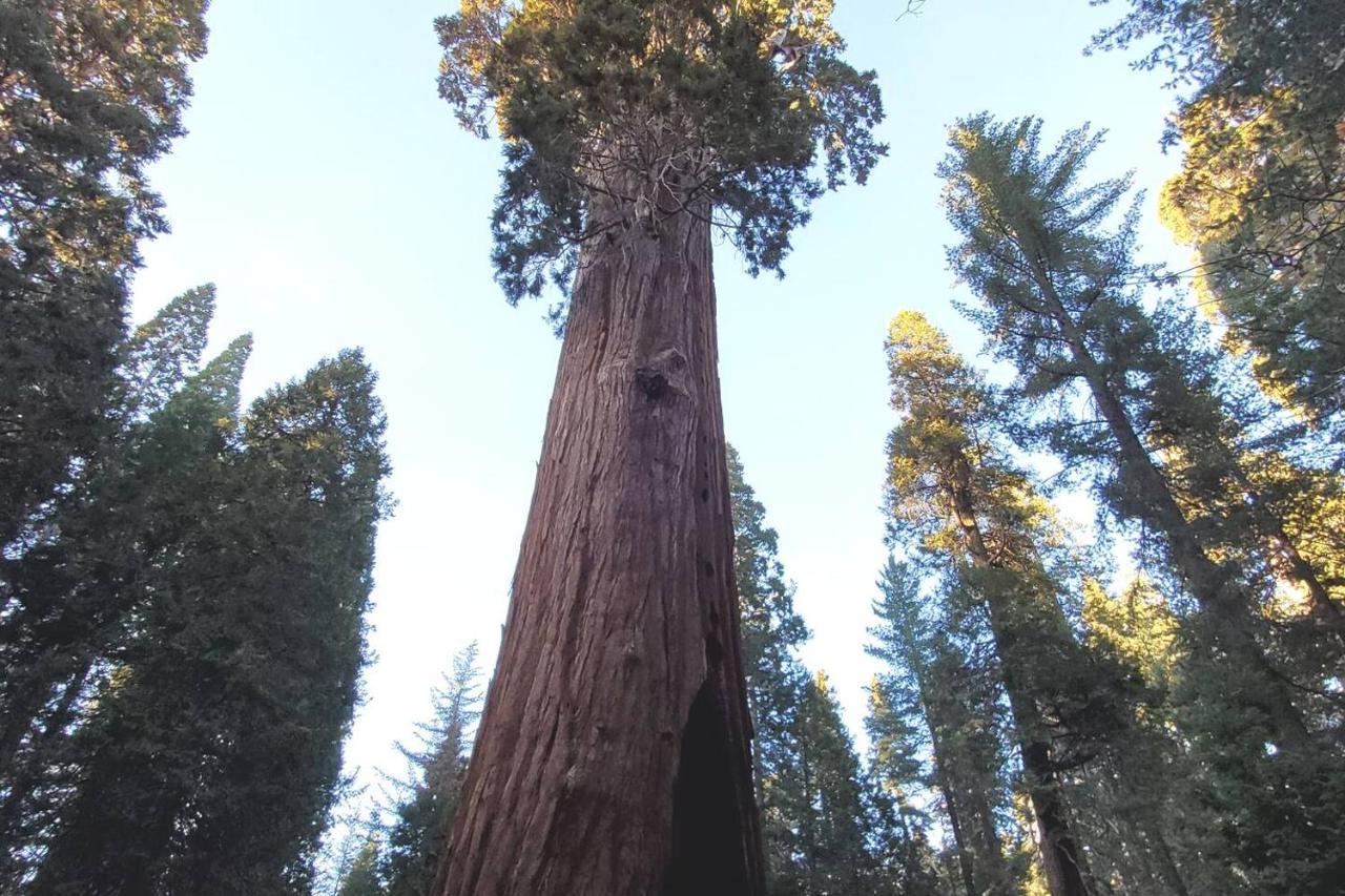 Вілла Sequoia Glen Wilsonia Екстер'єр фото